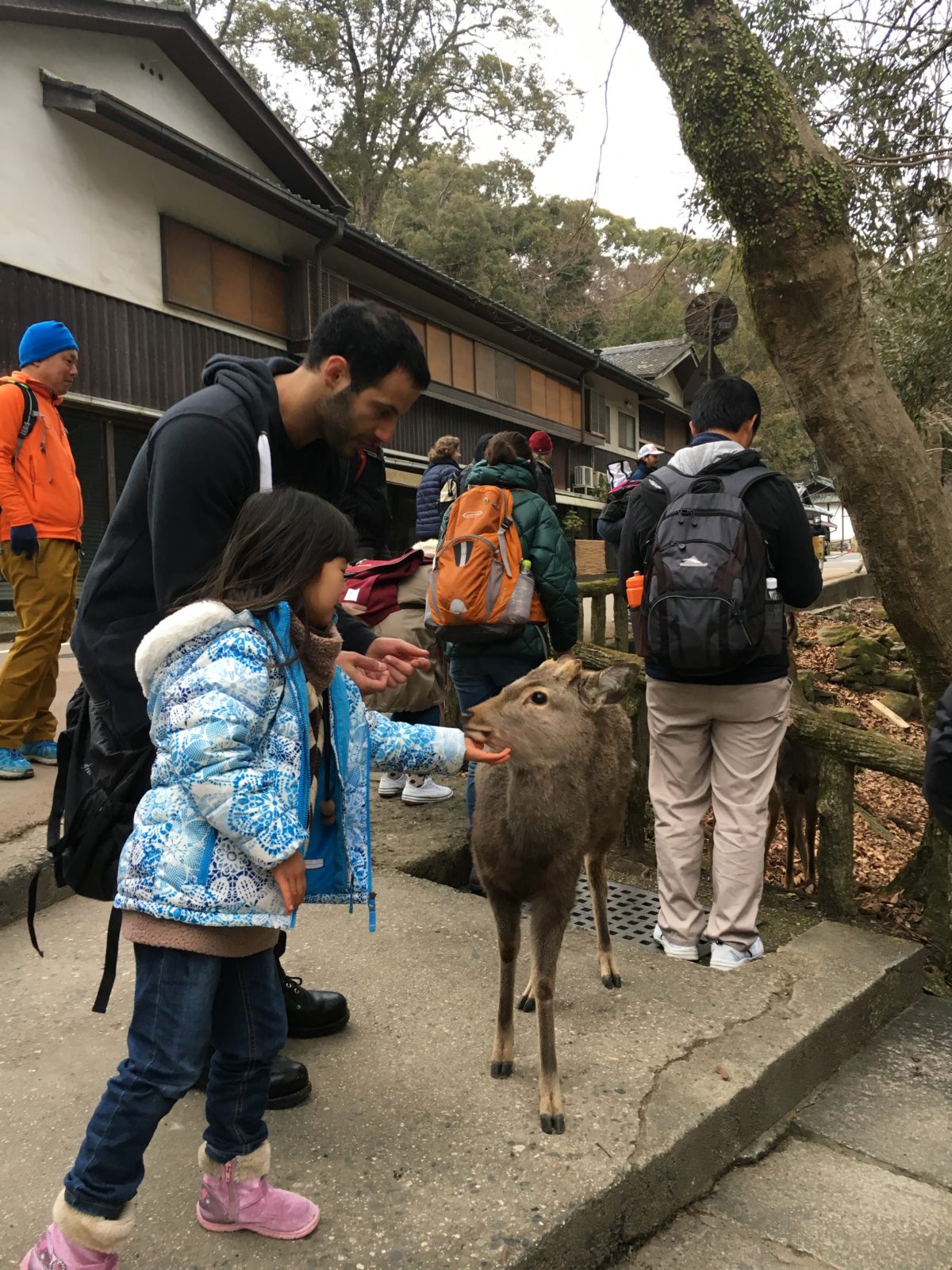 01/28/2018 Spended Nara escape