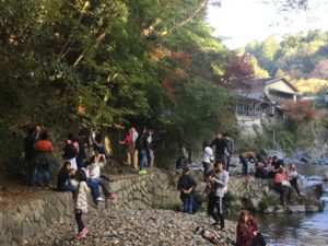 11/11/2018 Takatsuki Riverside Walk: Refresh