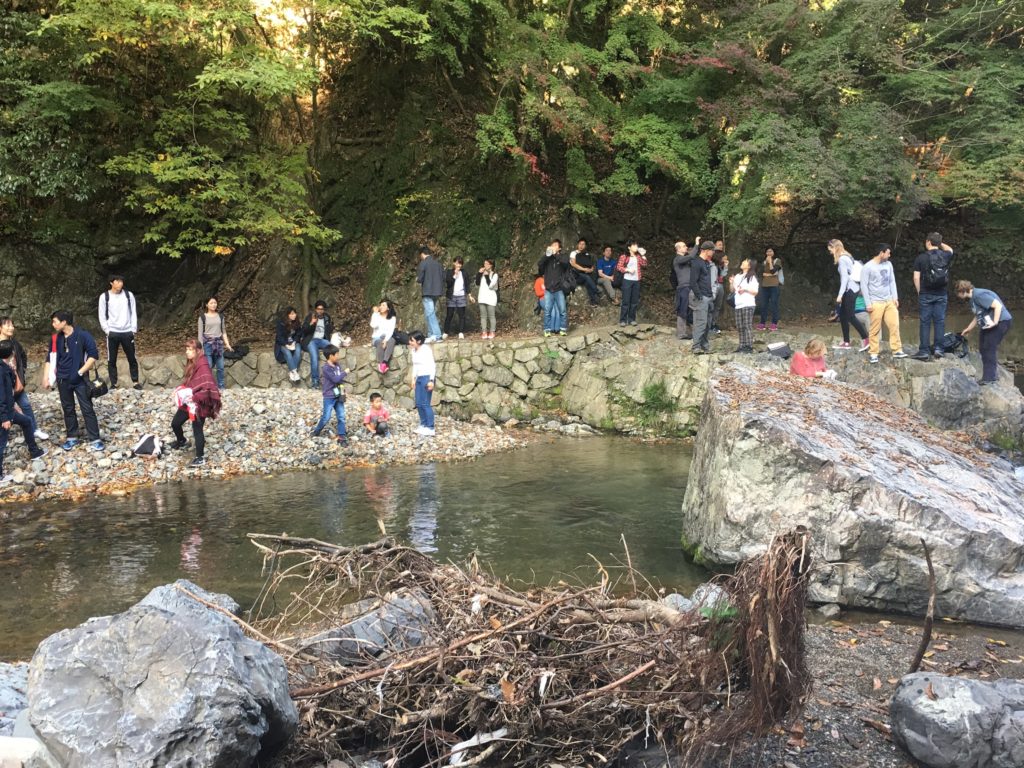 11/11/2018 Takatsuki Riverside Walk: Refresh