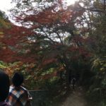 11/23/2018 Longest wooden footbridge in Japan Trek