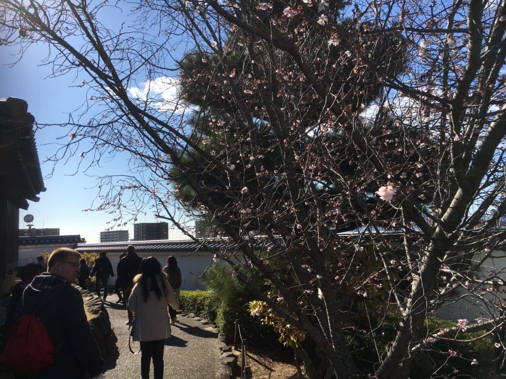 01/14/2019 Easy stroll on Mount Satsuki & visit Ikeda Castle