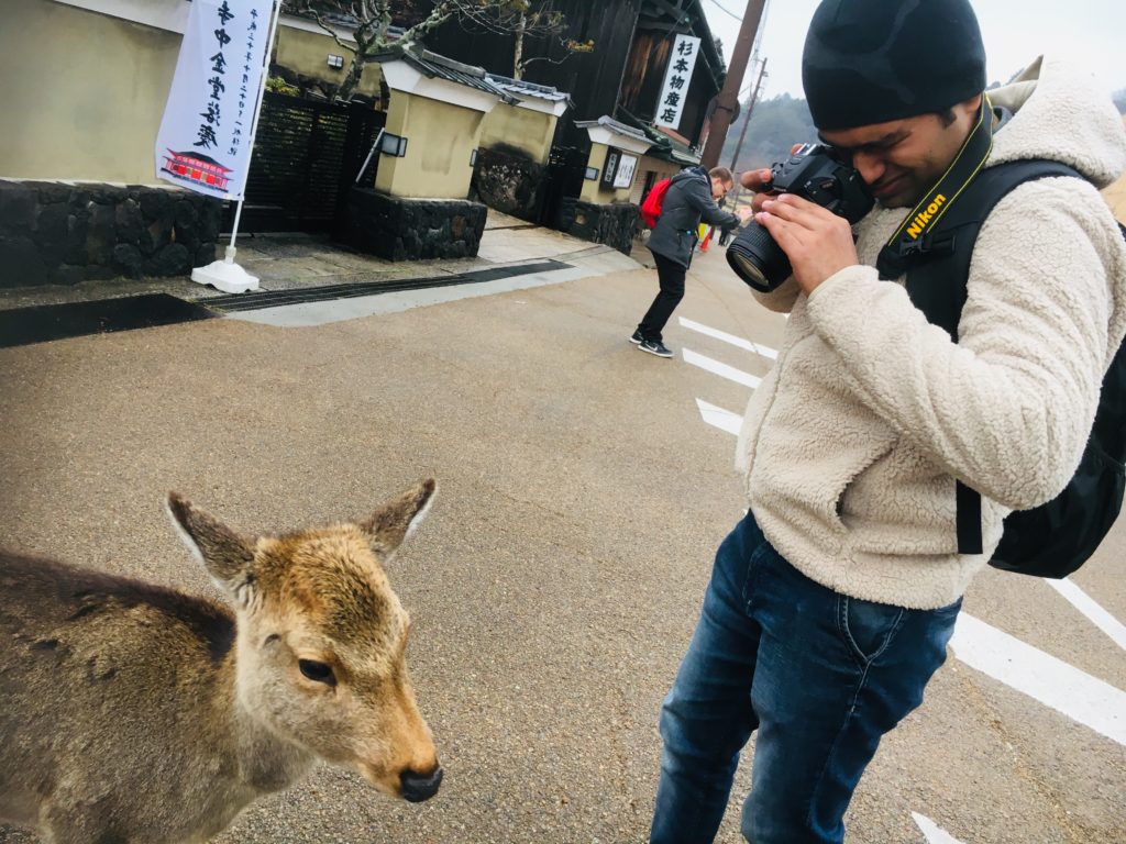 01/20/2019 Peaceful Nara escape no crowds