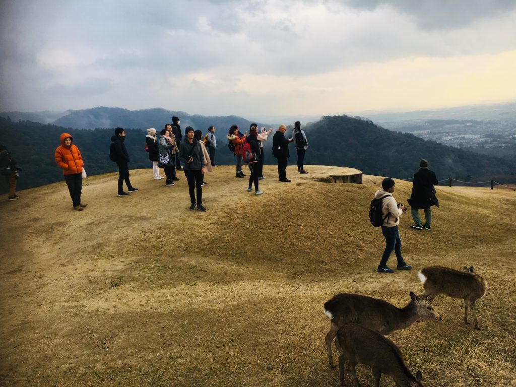 01/20/2019 Peaceful Nara escape no crowds