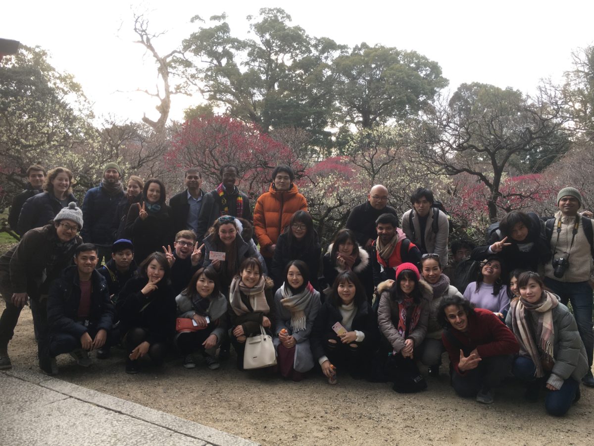 02/17/2019 Gorgeous PLUM Blossoms Walk